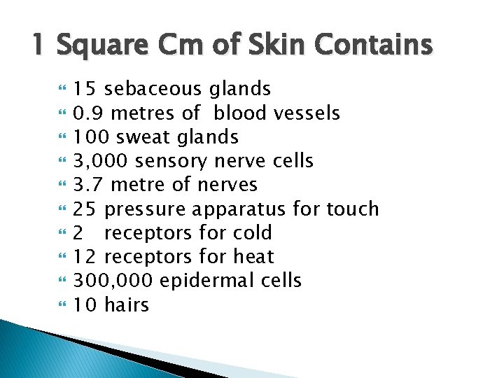 1 Square Cm of Skin Contains 15 sebaceous glands 0. 9 metres of blood 1 Square Cm of Skin Contains 15 sebaceous glands 0. 9 metres of blood