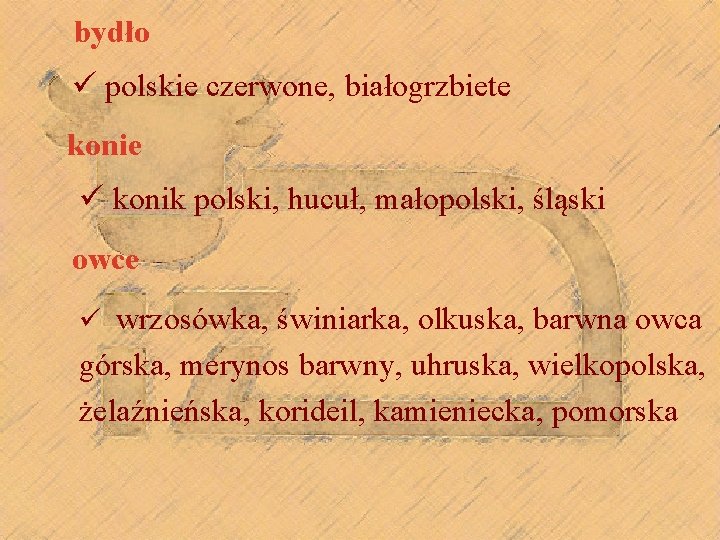 bydło ü polskie czerwone, białogrzbiete konie ü konik polski, hucuł, małopolski, śląski owce ü