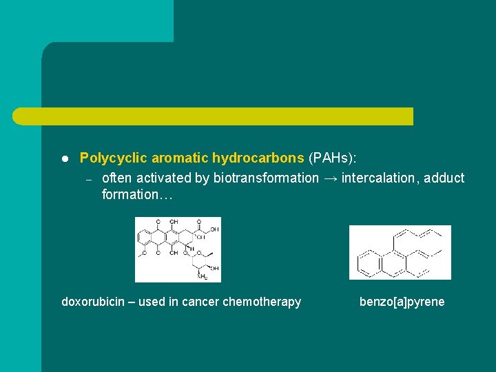 l Polycyclic aromatic hydrocarbons (PAHs): – often activated by biotransformation → intercalation, adduct formation…