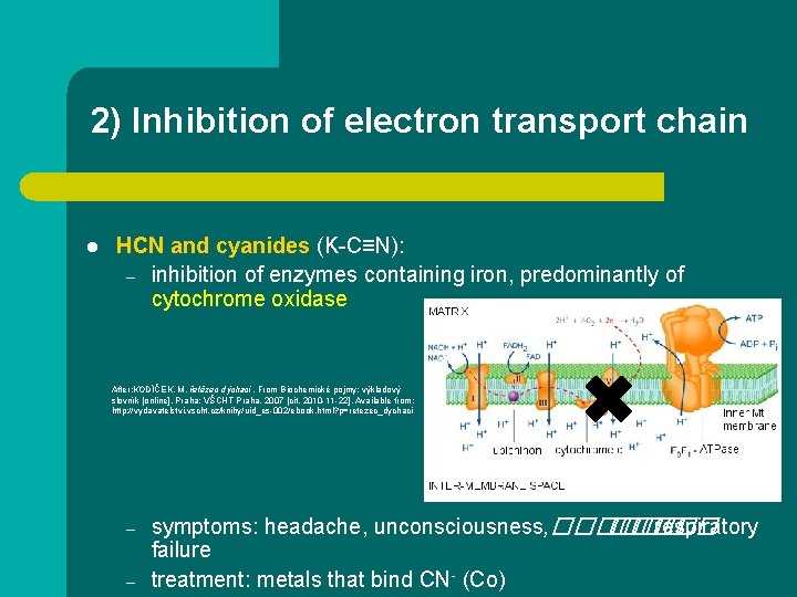 2) Inhibition of electron transport chain l HCN and cyanides (K-C≡N): – inhibition of