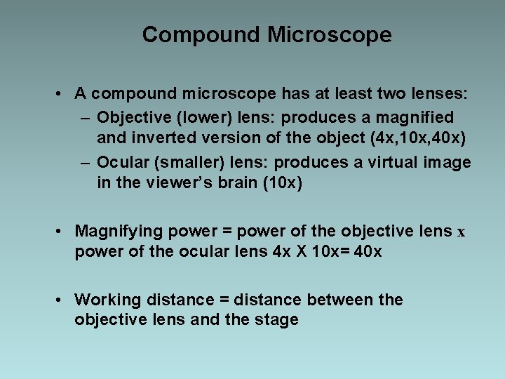 Compound Microscope • A compound microscope has at least two lenses: – Objective (lower)