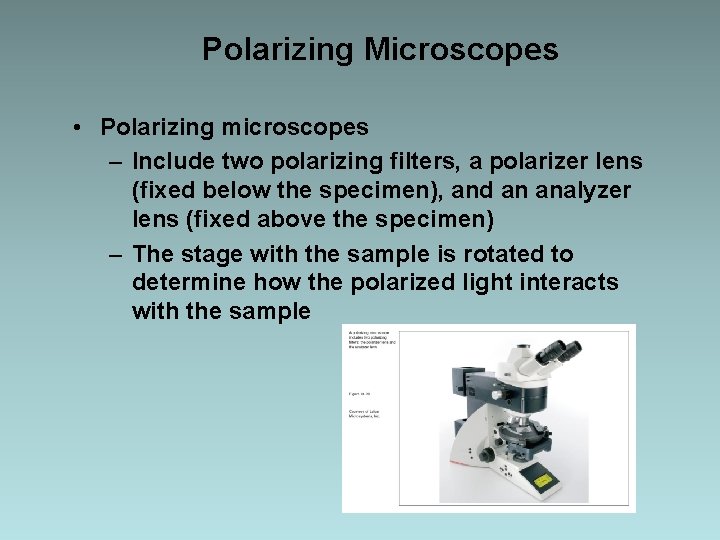 Polarizing Microscopes • Polarizing microscopes – Include two polarizing filters, a polarizer lens (fixed