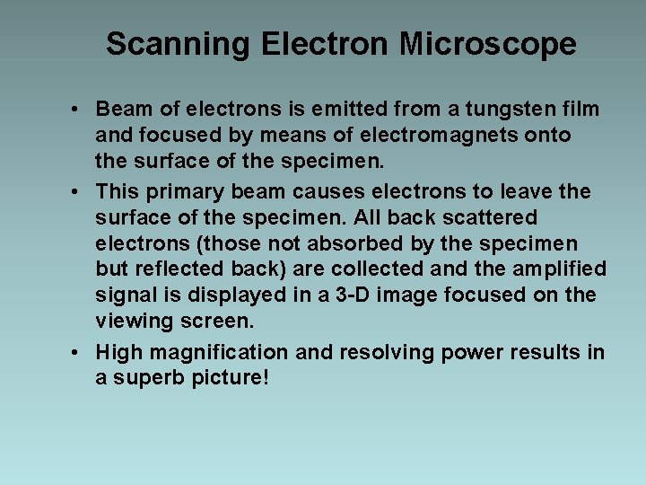 Scanning Electron Microscope • Beam of electrons is emitted from a tungsten film and Scanning Electron Microscope • Beam of electrons is emitted from a tungsten film and