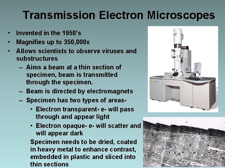 Transmission Electron Microscopes • Invented in the 1950’s • Magnifies up to 350, 000 Transmission Electron Microscopes • Invented in the 1950’s • Magnifies up to 350, 000