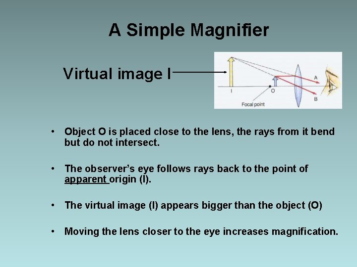 A Simple Magnifier Virtual image I • Object O is placed close to the