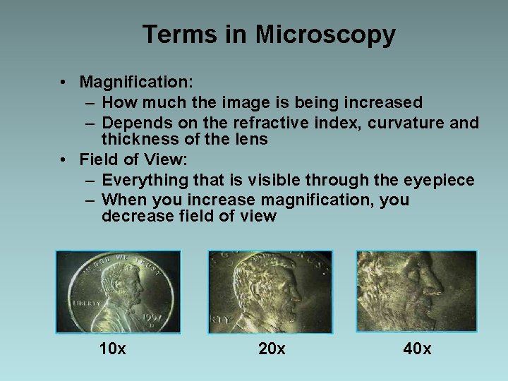 Terms in Microscopy • Magnification: – How much the image is being increased – Terms in Microscopy • Magnification: – How much the image is being increased –