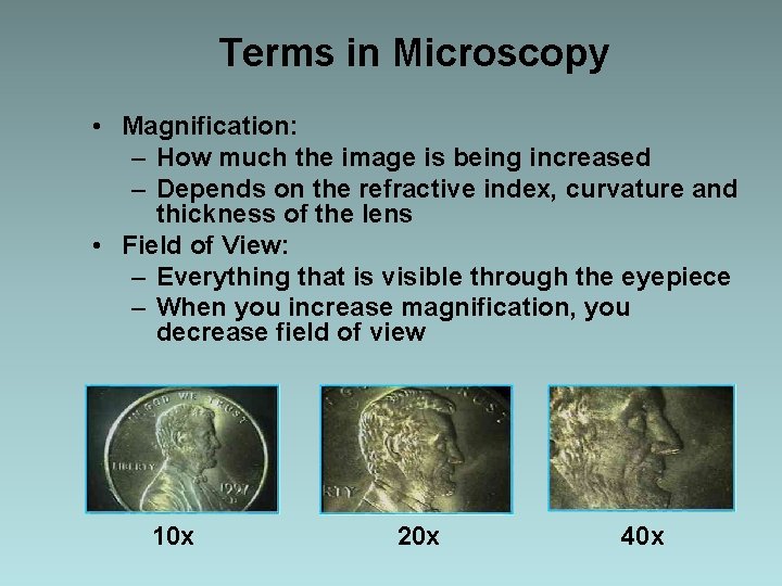 Terms in Microscopy • Magnification: – How much the image is being increased –