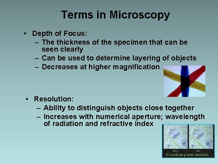 Terms in Microscopy • Depth of Focus: – The thickness of the specimen that