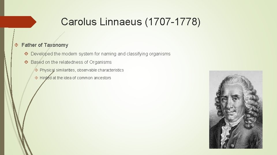 Carolus Linnaeus (1707 -1778) Father of Taxonomy Developed the modern system for naming and