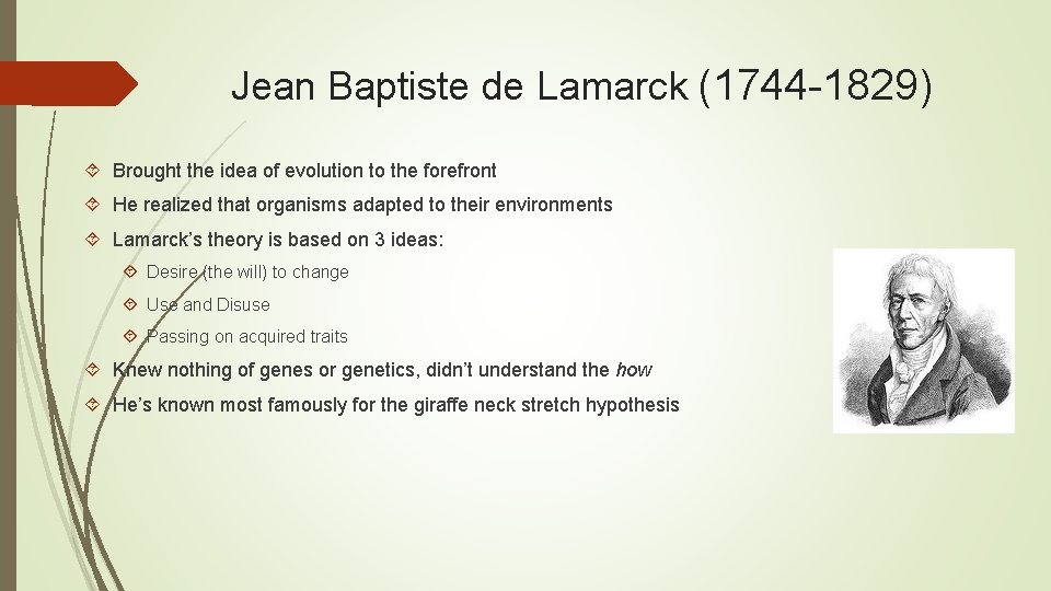Jean Baptiste de Lamarck (1744 -1829) Brought the idea of evolution to the forefront