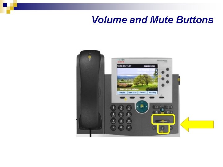 Volume and Mute Buttons 
