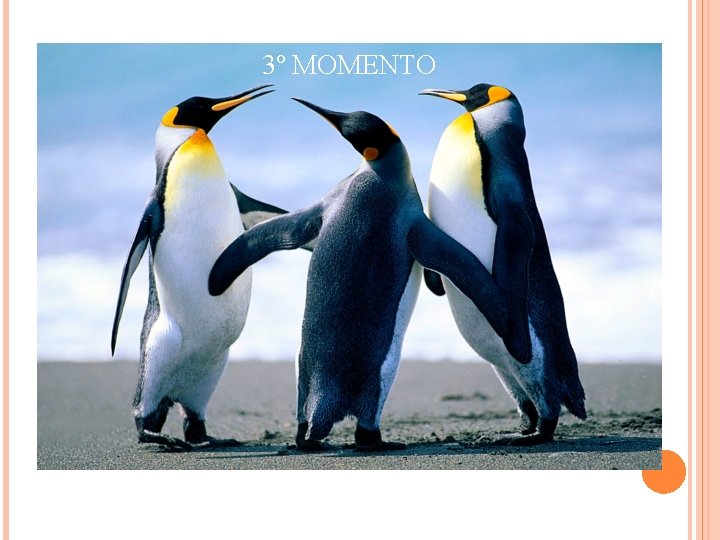 3º MOMENTO 