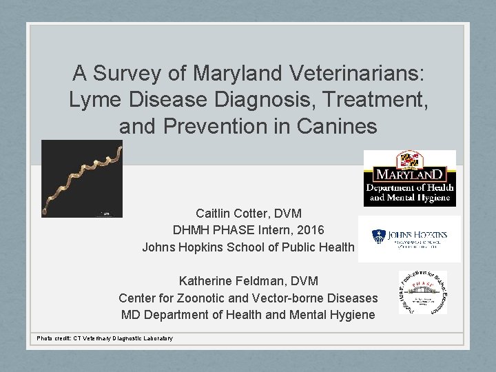 A Survey of Maryland Veterinarians: Lyme Disease Diagnosis, Treatment, and Prevention in Canines Caitlin