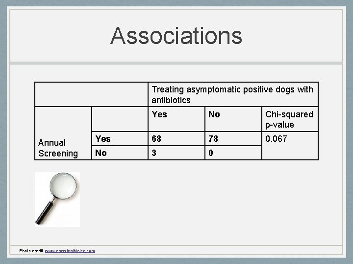 Associations Treating asymptomatic positive dogs with antibiotics Annual Screening Photo credit: www. crossingthinice. com