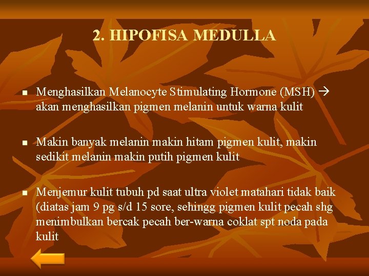 2. HIPOFISA MEDULLA n n n Menghasilkan Melanocyte Stimulating Hormone (MSH) akan menghasilkan pigmen