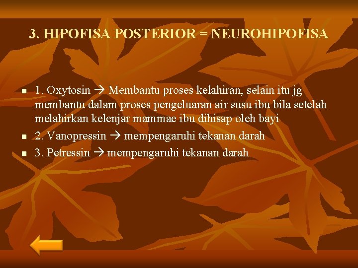 3. HIPOFISA POSTERIOR = NEUROHIPOFISA n n n 1. Oxytosin Membantu proses kelahiran, selain