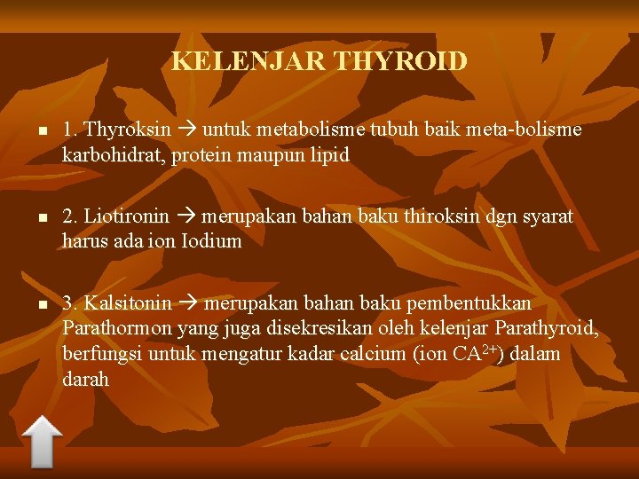 KELENJAR THYROID n n n 1. Thyroksin untuk metabolisme tubuh baik meta-bolisme karbohidrat, protein