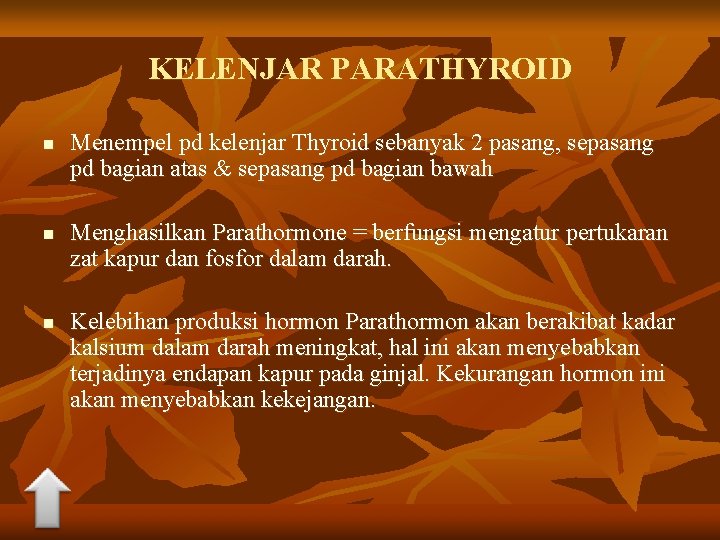 KELENJAR PARATHYROID n n n Menempel pd kelenjar Thyroid sebanyak 2 pasang, sepasang pd