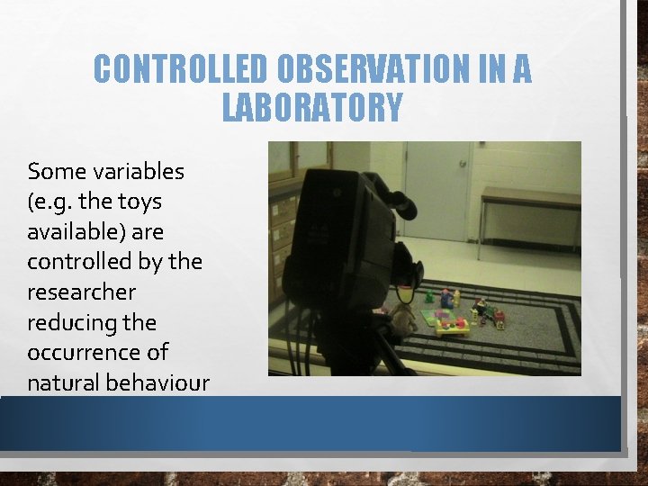 CONTROLLED OBSERVATION IN A LABORATORY Some variables (e. g. the toys available) are controlled