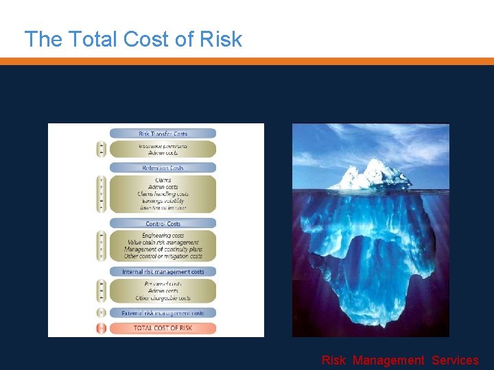 The Total Cost of Risk Management Services 