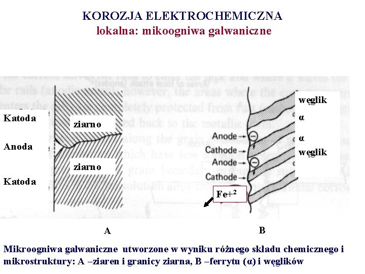 KOROZJA ELEKTROCHEMICZNA lokalna: mikoogniwa galwaniczne węglik Katoda α ziarno α węglik Anoda ziarno Katoda