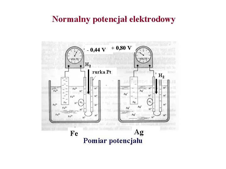  Normalny potencjał elektrodowy - 0, 44 V + 0, 80 V H 2