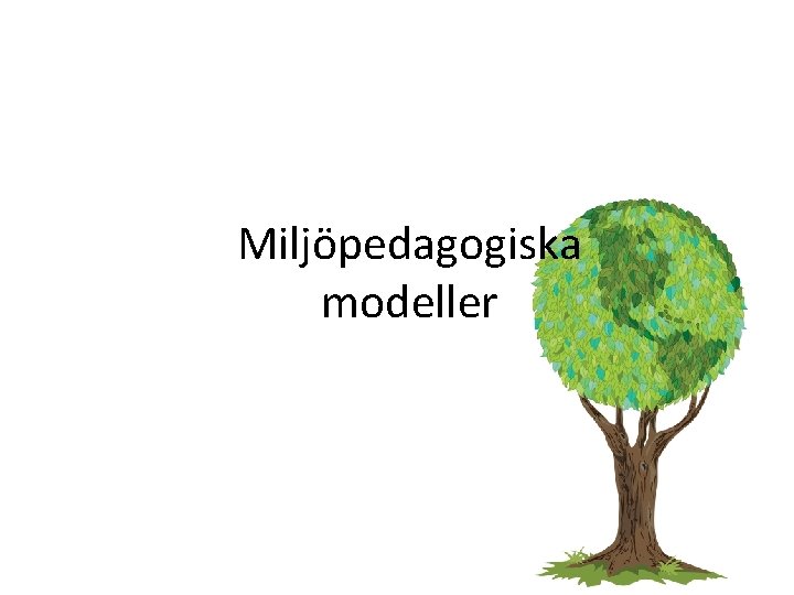 Miljöpedagogiska modeller 