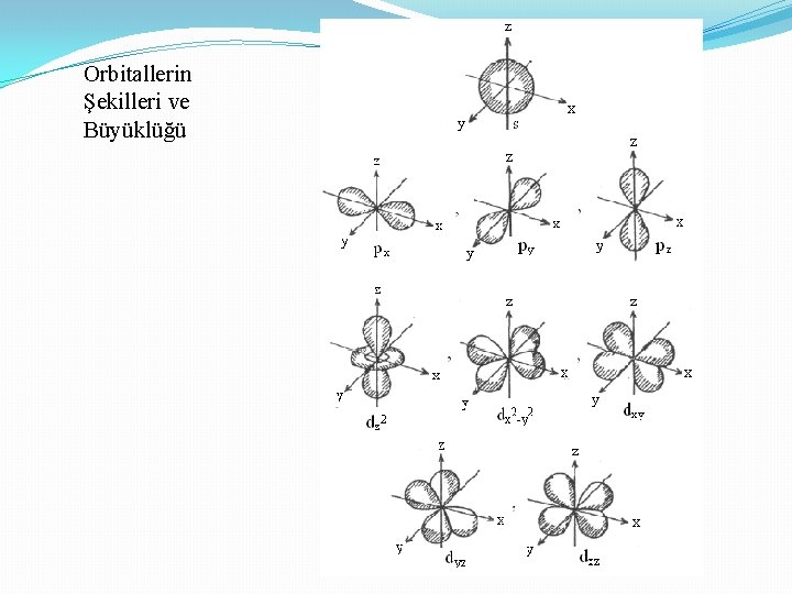 Orbitallerin Şekilleri ve Büyüklüğü 