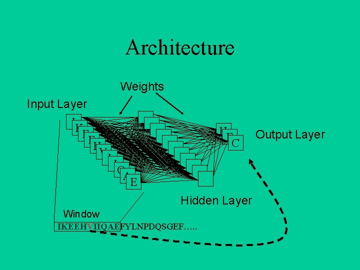 Architecture Weights Input Layer IK E EH VI IQ AE H EC Hidden Layer