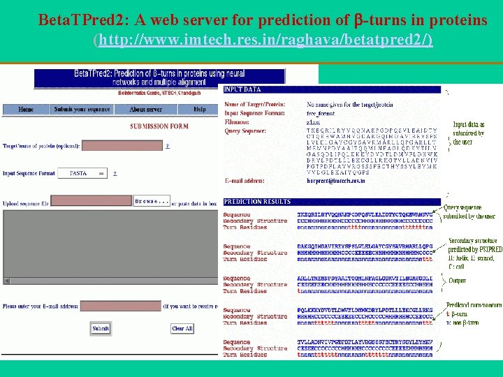 Beta. TPred 2: A web server for prediction of -turns in proteins (http: //www.