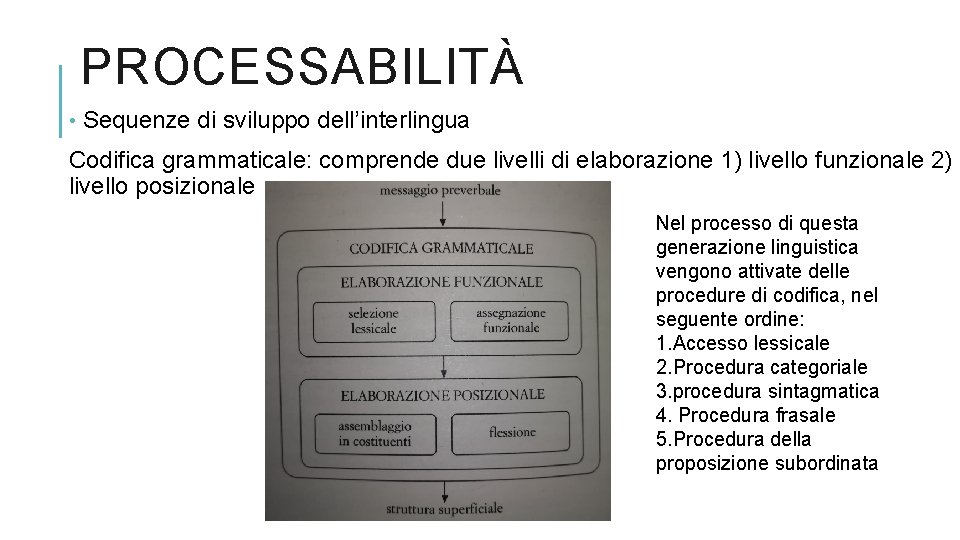 PROCESSABILITÀ • Sequenze di sviluppo dell’interlingua Codifica grammaticale: comprende due livelli di elaborazione 1)