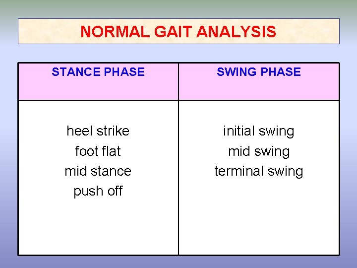 NORMAL GAIT ANALYSIS STANCE PHASE SWING PHASE heel strike foot flat mid stance push