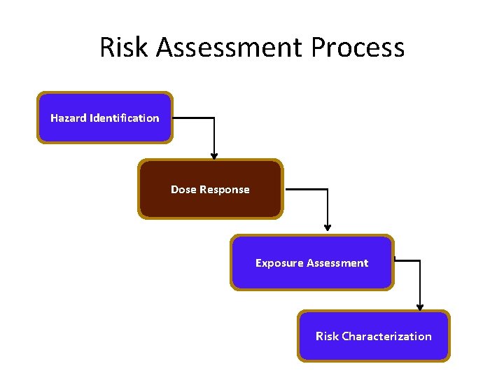 Risk Assessment Process Hazard Identification Dose Response Exposure Assessment Risk Characterization 