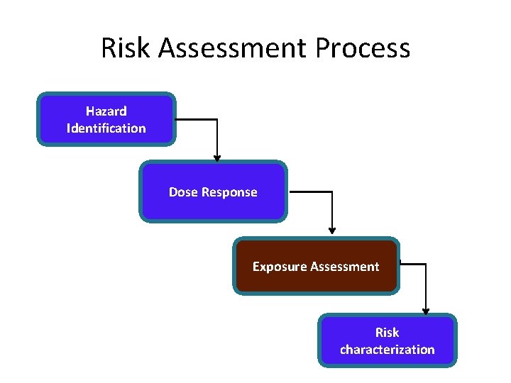 Risk Assessment Process Hazard Identification Dose Response Exposure Assessment Risk characterization 