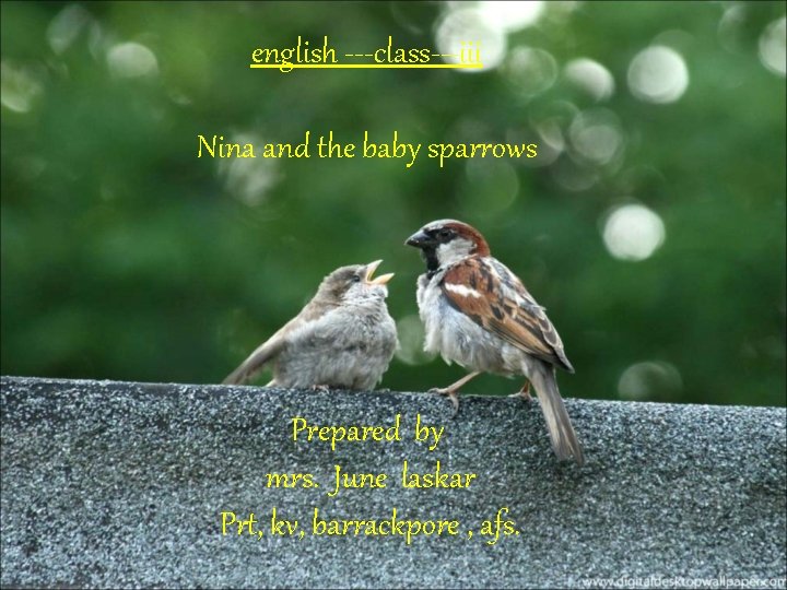 english ---class---iii Nina and the baby sparrows Prepared by mrs. June laskar Prt, kv,