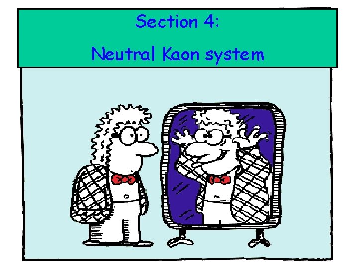 Section 4: : Neutral Kaon system Section 4: : Neutral Kaon system