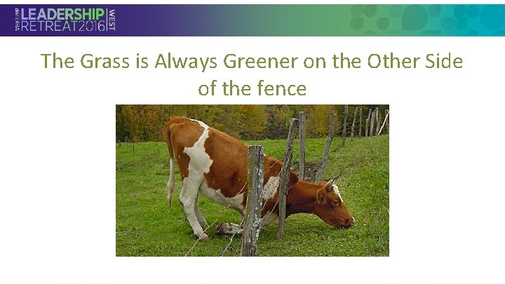 The Grass is Always Greener on the Other Side of the fence • Section