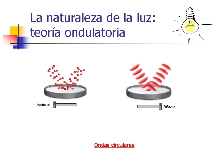 La naturaleza de la luz: teoría ondulatoria Ondas circulares 