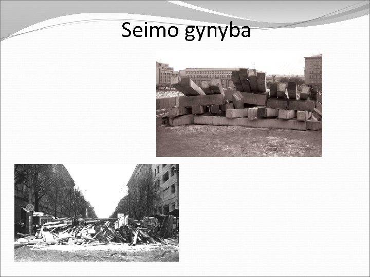 Seimo gynyba 