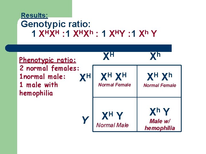 Results: Genotypic ratio: 1 XHXH : 1 XHXh : 1 XHY : 1 Xh
