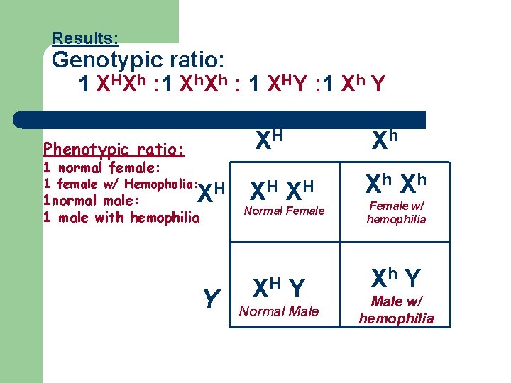 Results: Genotypic ratio: 1 XHXh : 1 Xh. Xh : 1 XHY : 1