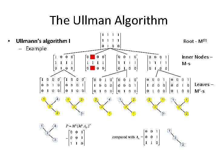 The Ullman Algorithm • Ullmann’s algorithm I – Example Root - M(0) Inner Nodes