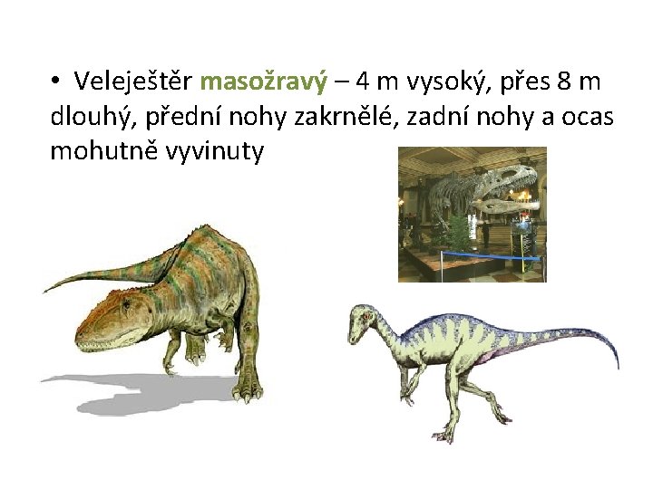  • Veleještěr masožravý – 4 m vysoký, přes 8 m dlouhý, přední nohy