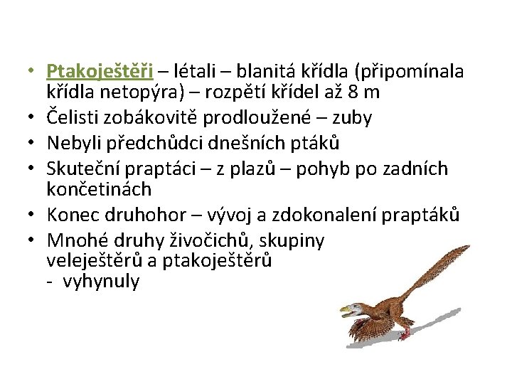  • Ptakoještěři – létali – blanitá křídla (připomínala křídla netopýra) – rozpětí křídel