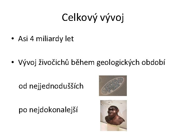 Celkový vývoj • Asi 4 miliardy let • Vývoj živočichů během geologických období od