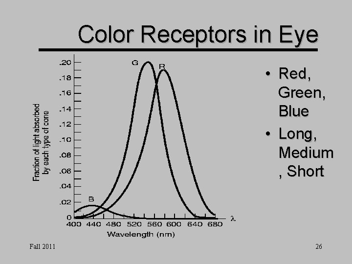 Color Receptors in Eye • Red, Green, Blue • Long, Medium , Short Fall Color Receptors in Eye • Red, Green, Blue • Long, Medium , Short Fall