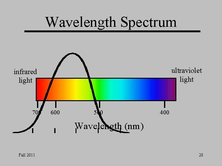 Wavelength Spectrum ultraviolet light infrared light 700 600 500 400 Wavelength (nm) Fall 2011 Wavelength Spectrum ultraviolet light infrared light 700 600 500 400 Wavelength (nm) Fall 2011