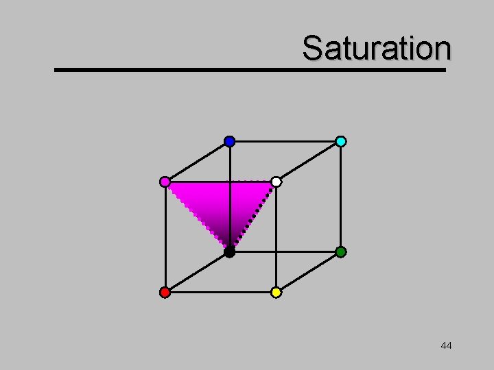 Saturation 44 Saturation 44