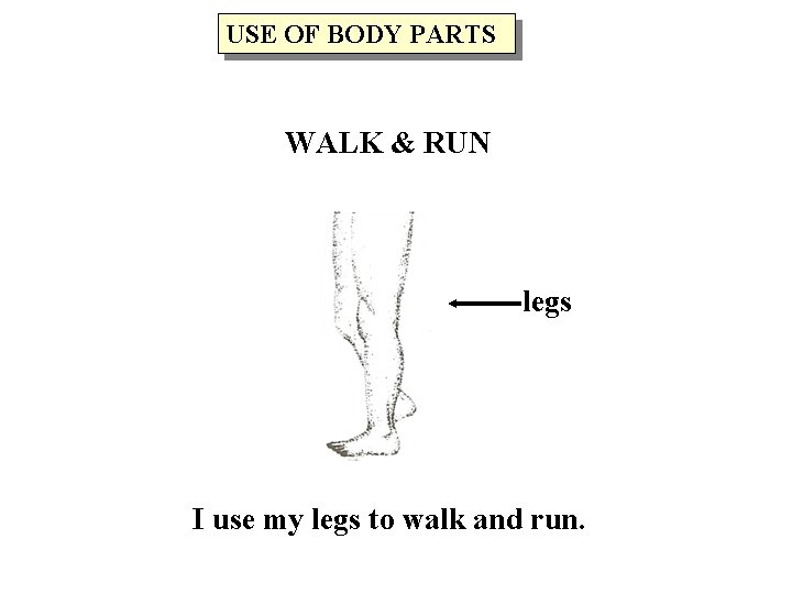 USE OF BODY PARTS WALK & RUN legs I use my legs to walk