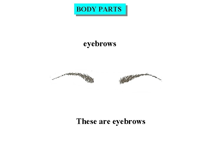 BODY PARTS eyebrows These are eyebrows 
